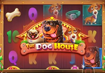 Игра The Dog House в ONX Casino